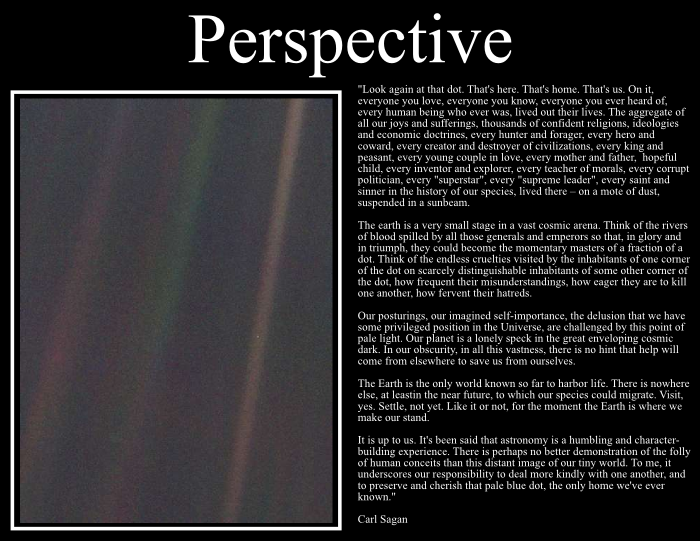 Perspective